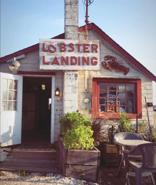 A rustic seafood shack with a sign reading "Lobster Landing," featuring a lobster graphic and outdoor seating.