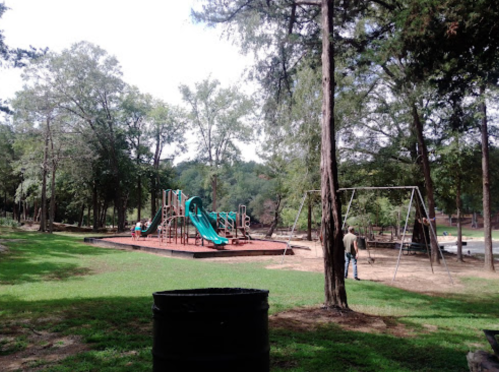 A playground with slides and swings surrounded by trees in a park on a sunny day.