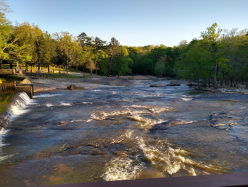 A flowing river with gentle rapids, surrounded by lush green trees and a clear blue sky.