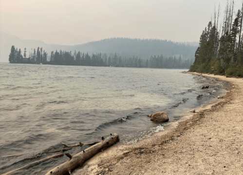 A serene lakeside view with a sandy shore, surrounded by trees and a hazy, smoky atmosphere.