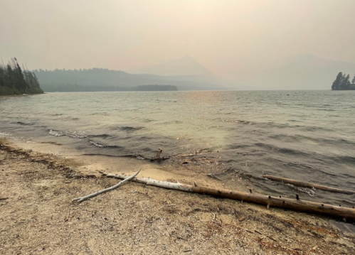 A hazy lake scene with a sandy shore, gentle waves, and distant trees under a smoky sky.