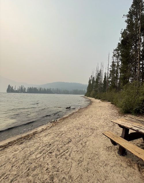 A sandy beach by a lake, surrounded by trees, with a hazy sky and distant mountains in the background.