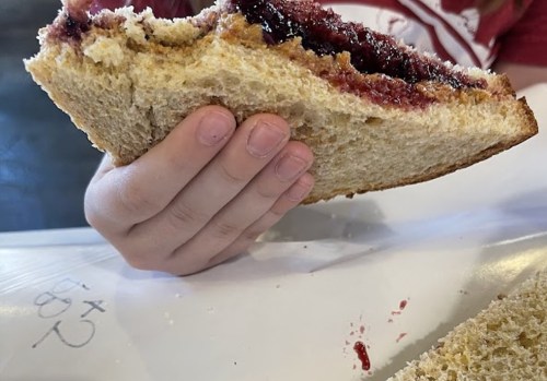 A hand holding a large peanut butter and jelly sandwich with some filling oozing out.