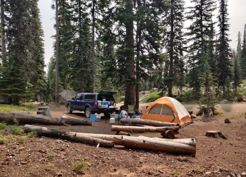 A campsite with a blue truck, orange tent, and logs in a forested area surrounded by tall trees.