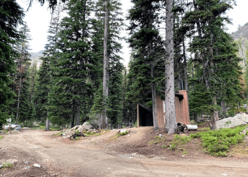 A dirt path leads through a dense forest of tall pine trees, with a rustic structure partially visible among the trees.