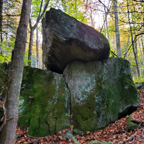 A large boulder balanced on top of a moss-covered rock in a forest with autumn foliage.