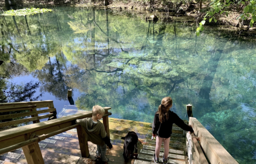 Two children and a dog stand on wooden steps by a clear, greenish-blue pond surrounded by trees.