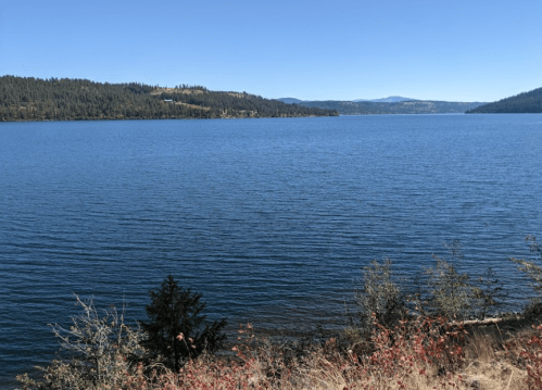 A serene lake surrounded by forested hills under a clear blue sky.