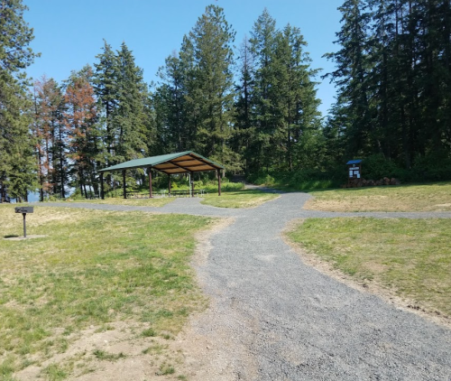 A gravel path splits in a park, leading to a covered shelter surrounded by trees under a clear blue sky.