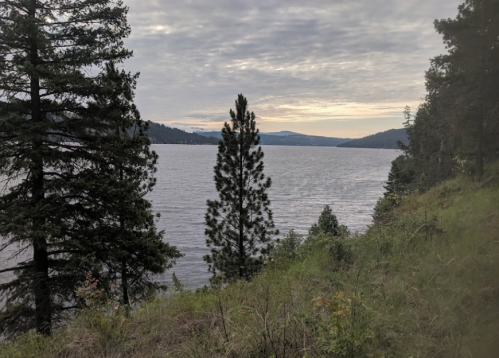 A serene lake surrounded by trees under a cloudy sky, with distant mountains visible on the horizon.