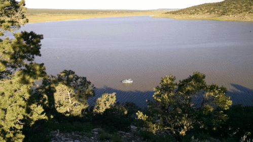 A serene lake surrounded by trees, with a small boat floating on the water under a clear sky.