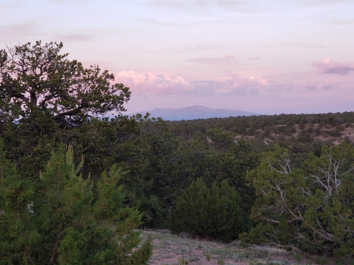 A serene landscape featuring green trees and distant mountains under a pastel sky at sunset.