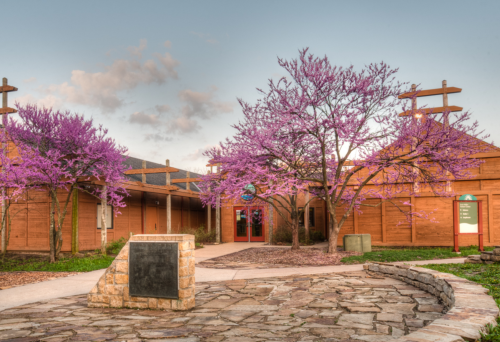 A courtyard with blooming purple trees and wooden buildings, featuring a stone path and a plaque in the center.