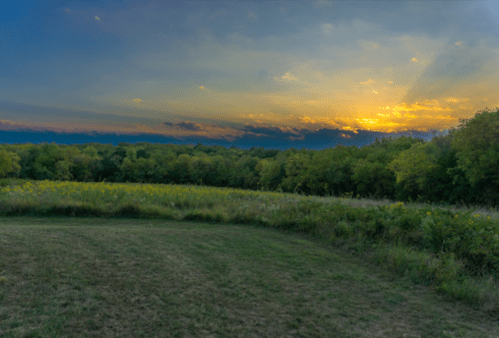 A serene landscape at sunset, featuring a grassy field and trees under a colorful sky.