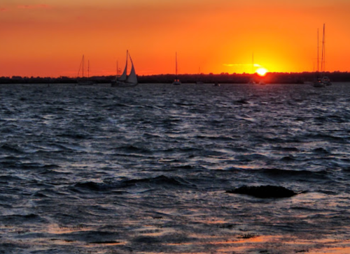 A serene sunset over the water, with sailboats silhouetted against the vibrant orange sky.