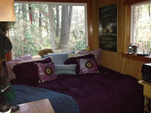 Cozy bedroom with a large bed, colorful pillows, and a view of trees through a large window.