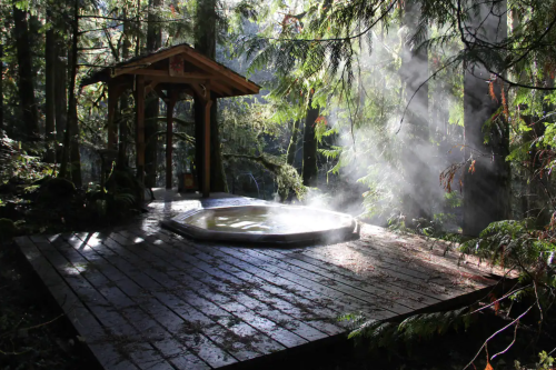 A serene hot tub surrounded by lush forest, with mist rising in the sunlight filtering through the trees.