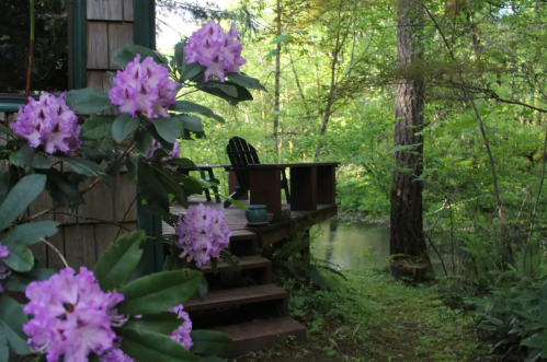 A serene outdoor scene featuring purple flowers, a wooden deck, and a lush green forest by a calm stream.