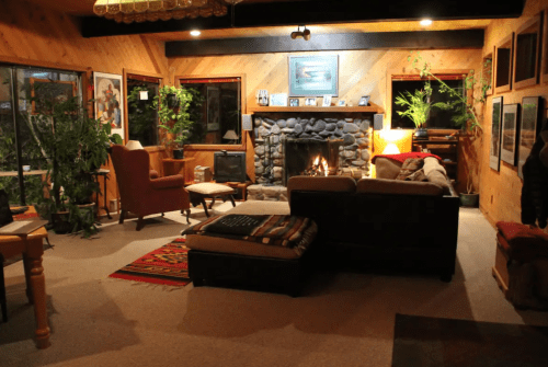 Cozy living room with a stone fireplace, wooden walls, plants, and comfortable seating, illuminated by warm lighting.