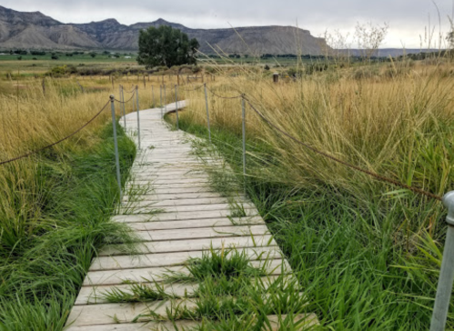 A wooden pathway winds through tall grass, leading towards distant mountains under a cloudy sky.