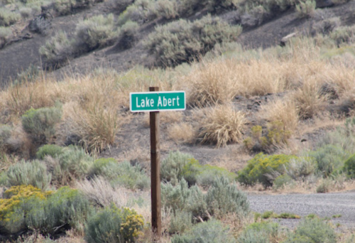 A green sign reading "Lake Abert" stands beside a gravel road, surrounded by dry grass and shrubs.