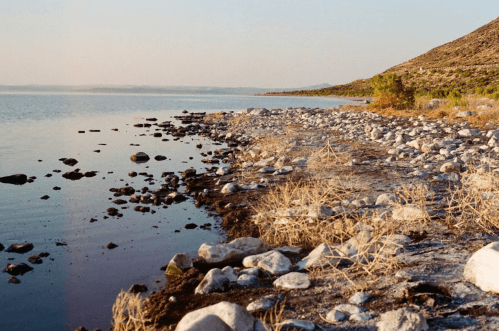 A tranquil shoreline with smooth stones and sparse vegetation, reflecting calm water under a soft sunset glow.
