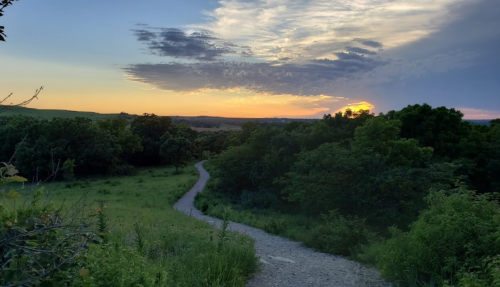 A winding gravel path through lush greenery, leading towards a vibrant sunset with colorful clouds.