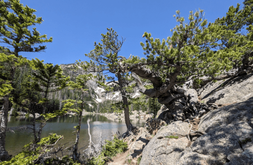 A serene landscape featuring a lake surrounded by rocky terrain and lush green trees under a clear blue sky.