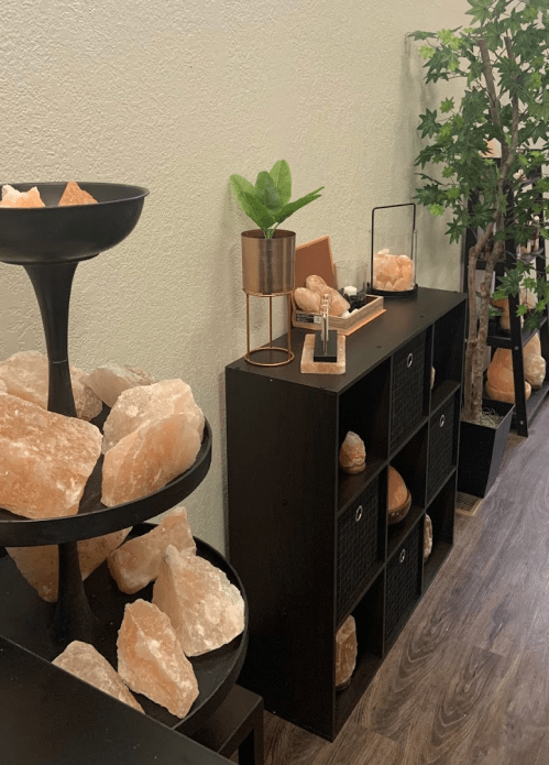 A cozy interior featuring a black shelf with decorative rocks, a potted plant, and a small tree against a light wall.