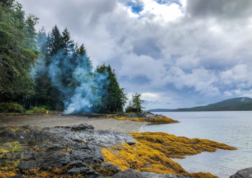 A rocky shoreline with yellow seaweed, trees, and smoke rising under a cloudy sky.