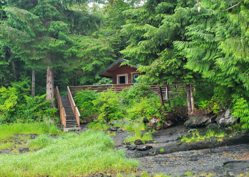 A cozy cabin nestled among lush green trees, with wooden stairs leading up to it from a rocky shoreline.