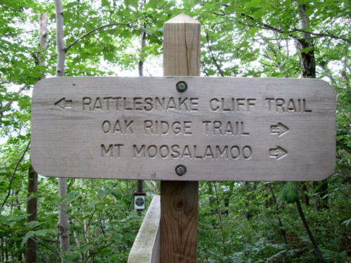 Wooden trail sign indicating directions to Rattlesnake Cliff Trail, Oak Ridge Trail, and Mt. Moosalamoo in a forested area.