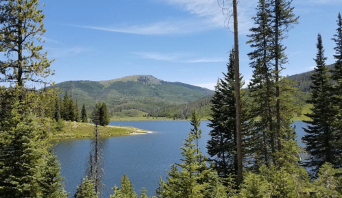 A serene lake surrounded by lush green trees and mountains under a clear blue sky.
