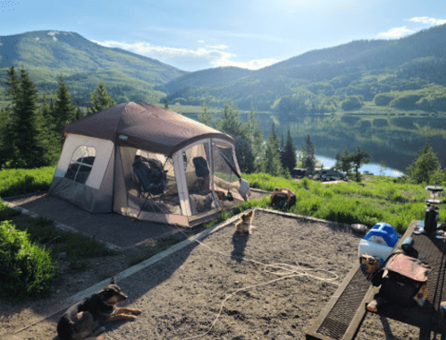 A tent set up by a lake, surrounded by mountains, with dogs lounging nearby and camping gear on a table.