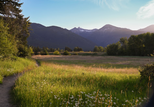 A serene landscape featuring a grassy field, trees, and mountains under a clear sky.