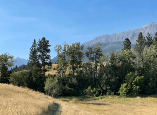 A scenic landscape featuring a grassy path, trees, and mountains under a clear blue sky.