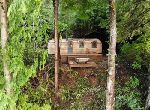 A cozy wooden cabin nestled among tall green trees on a hillside, with a wooden deck in front.