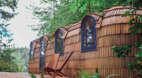A unique wooden cabin with arched windows, surrounded by greenery and featuring a wooden chair on the deck.