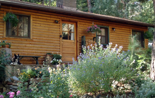 A cozy log cabin surrounded by colorful flowers and greenery, with a wooden door and a welcoming porch.