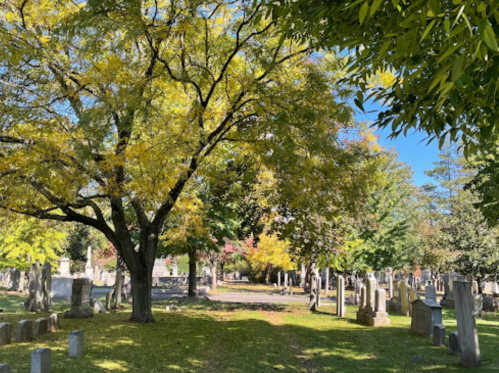 A serene cemetery scene with a large tree and colorful autumn foliage among gravestones under a clear blue sky.