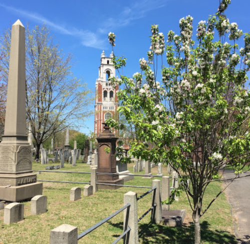 A cemetery with gravestones, a flowering tree, and a tall clock tower in the background under a clear blue sky.