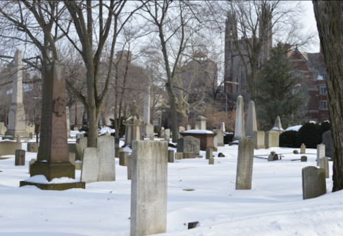 A snowy cemetery with various gravestones and trees, set against a backdrop of buildings and a church steeple.