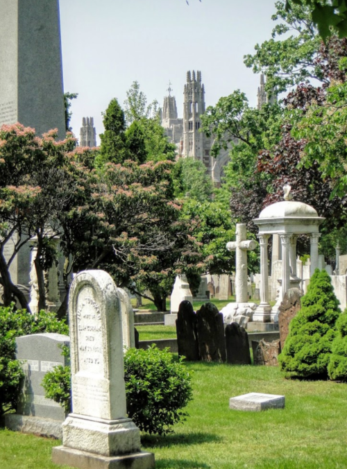 A serene cemetery with gravestones and lush greenery, featuring ornate structures and distant gothic architecture.