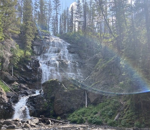 A cascading waterfall surrounded by lush greenery and tall trees under a bright blue sky.