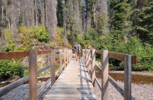 Two people walk across a wooden bridge surrounded by lush greenery and tall trees.