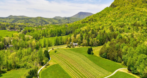 Aerial view of lush green fields and rolling hills under a clear blue sky, with mountains in the background.