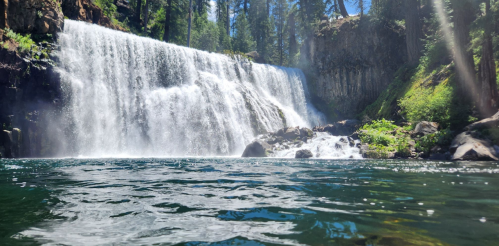 A serene waterfall cascades into a clear pool, surrounded by lush greenery and tall trees under a bright blue sky.