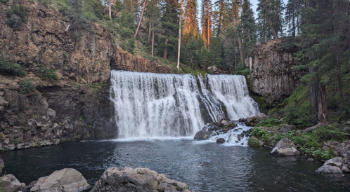 A serene waterfall cascades into a calm pool, surrounded by lush greenery and tall trees in a tranquil forest setting.