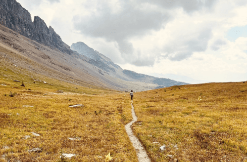 A lone hiker walks along a narrow trail through a vast, grassy valley surrounded by mountains under a cloudy sky.