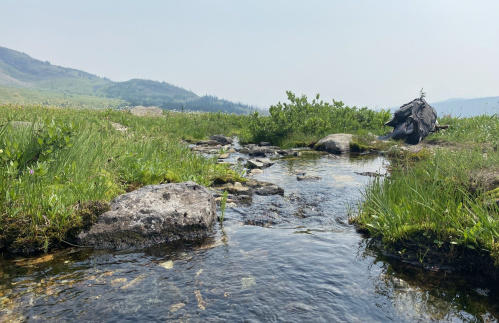 A serene landscape featuring a clear stream flowing through grassy terrain, with rocks and distant hills under a hazy sky.